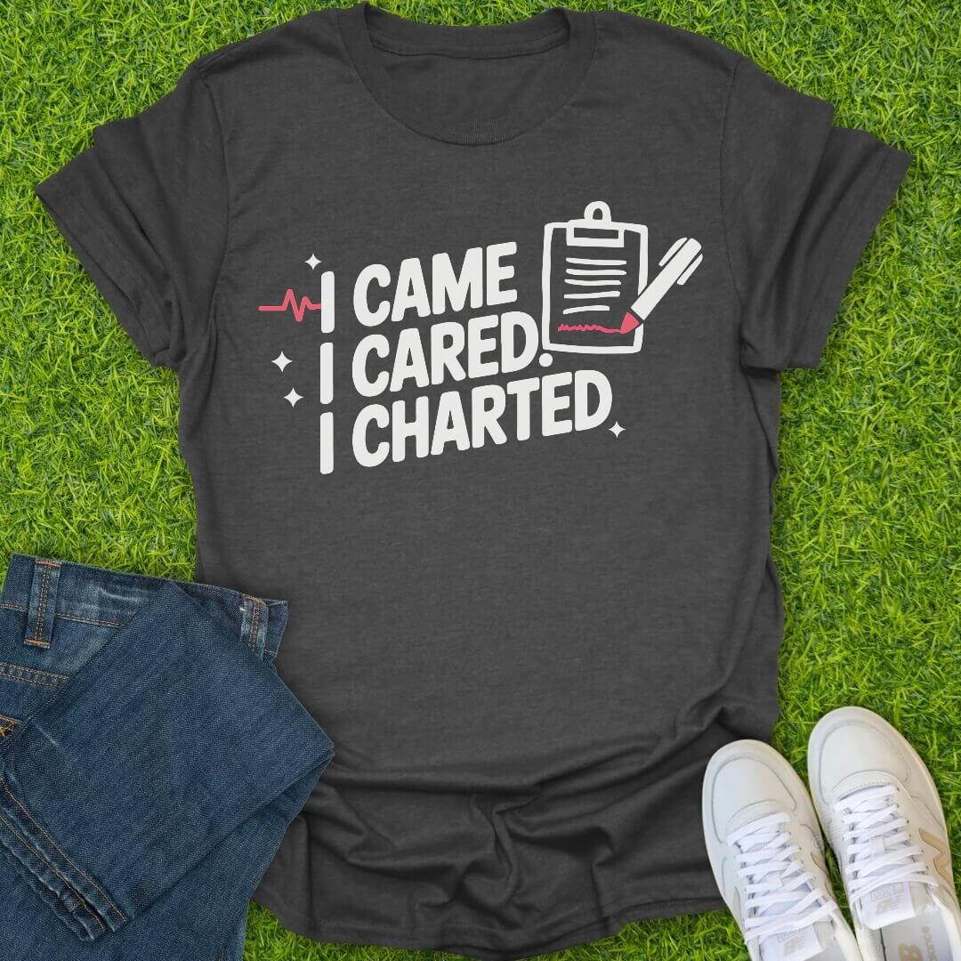 T-Shirt Dark Heather / S I Came. I Cared. I Charted Tee