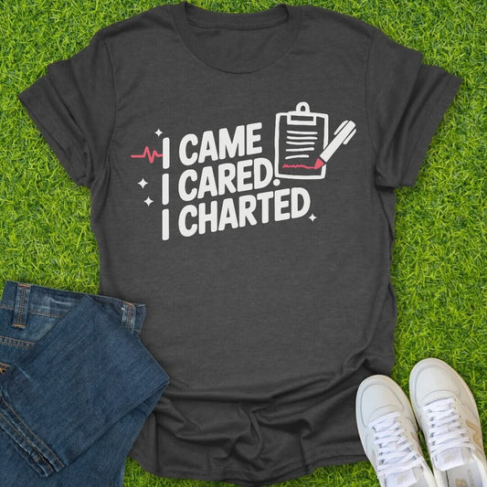 T-Shirt Dark Heather / S I Came. I Cared. I Charted Tee